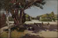 in the shade of the old yew tree