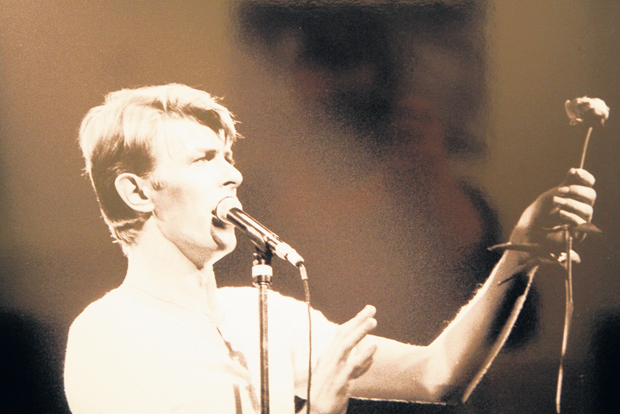 David-Bowie