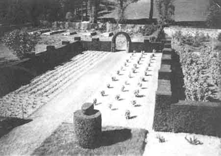 camis_eskan_garden-2.jpg