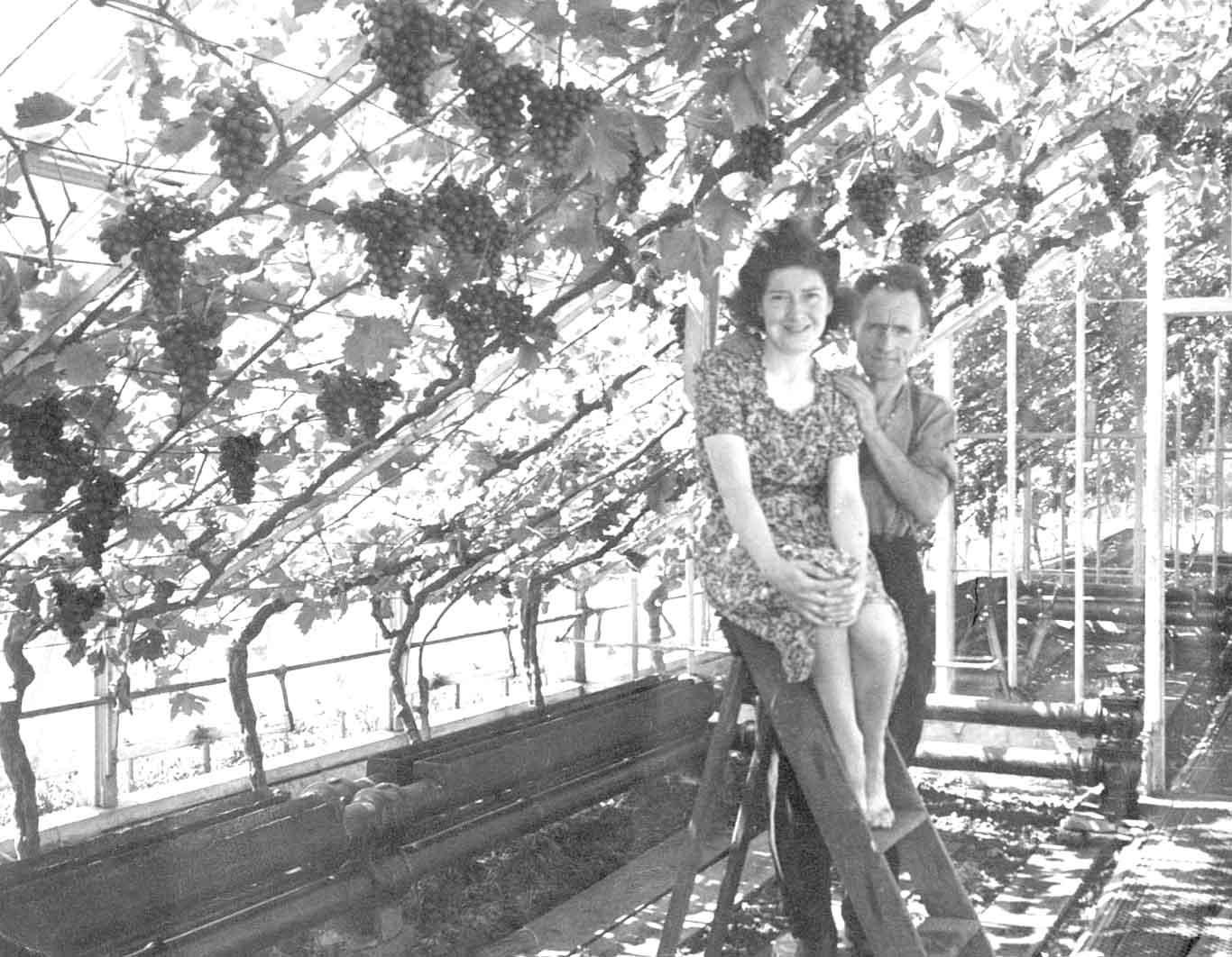 camis_eskan_garden-3_copy.jpg
