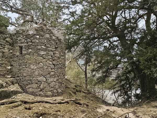 Elanvow island Loch Lomond