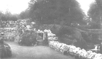 malig_mill_rock_garden